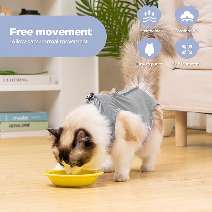 Avont Cat Recovery Suit Post-Surgery Onesie, Breathable Cone-of-Shame Alternative Bodysuit for Spayed Female Kittens, Skin Abdonminal Wound Care -Grey(S)