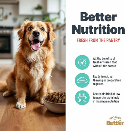 Because it's Better Slow Baked and Air Dried Dog Food, Real Salmon and Veggies, 1lb Bag, Complete and Balanced Dry Dog Food, for All Life Stages