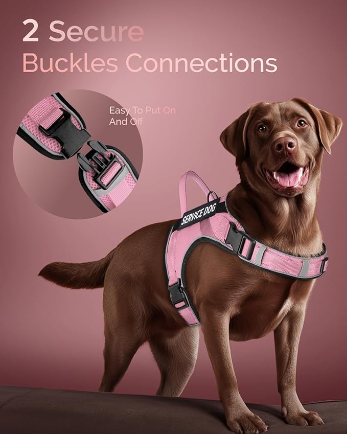 FAYOGOO Service Dog Vest for Large Dogs - Air Mesh Breathble Emotional Support Animal Vest with DIY Removable Patches - Dog Harness and Leash Set Adjustable Neck and Chest(Pink,XXL)