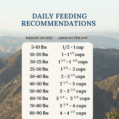 360 Pet Nutrition Freeze-Dried Raw Dog Food – Beef Recipe with Liver & Organs, High Protein with Omega-3s, Fruits, Veggies & Superfoods, Grain-Free, No Fillers, 1 lb – Made in USA