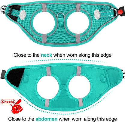 Joytale Small Dog Harness, Breathable Mesh Step-in Vest, Reflective Soft Padded Harnesses for Small and Medium Dogs, Teal, L