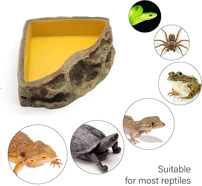 Reptile Feeder Resin Bowl Amphibian Reptile Bowl for Lizard Gecko Bearded Dragon Turtle
