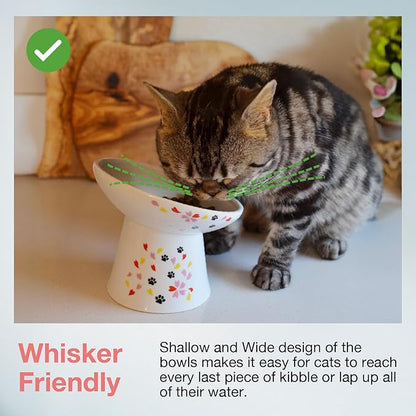 Necoichi Raised Cat Food Bowl – Ceramic Elevated 15° Tilted Cat Bowl for Whisker & Neck Fatigue, Dishwasher Microwave Safe – Non-Slip Anti Vomiting Ergonomic Design (Sakura Floral, Extra Wide Tilted)