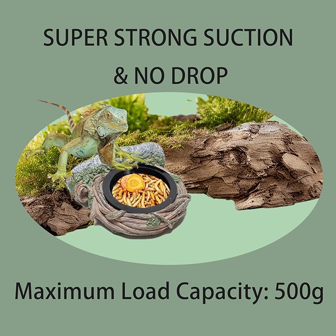 Reptile Feeding Ledge with 2 Cups, Hollow Vine Food Dish & Water Bowl for Bearded Dragon, Gecko, Lizard & Snake – Reptile Tank Accessories for Terrariums