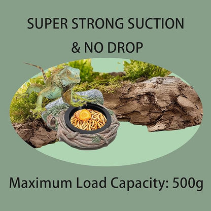 Reptile Feeding Ledge with 2 Cups, Hollow Vine Food Dish & Water Bowl for Bearded Dragon, Gecko, Lizard & Snake – Reptile Tank Accessories for Terrariums