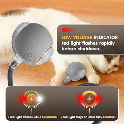 Rocfish Durable Interactive Cat Toys for Indoor Cats, Smart Automatic Cat Chase Ball Toy, Upgraded Speedy Tail Kitten Toy for Bored Indoor Adult Pets (Grey)