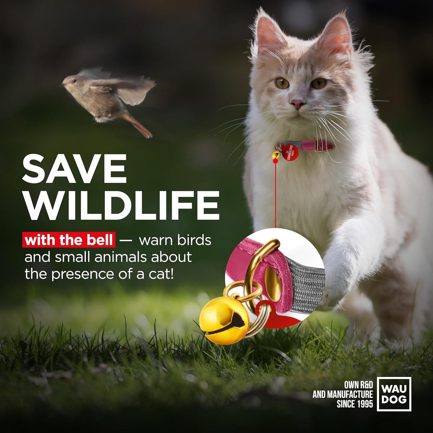 WAUDOG Ultra Soft Rolled Leather Cat Collar with Removable Bell, Safety Elastic Strap and QR ID Tag - Soft Padded for Small, Medium, and Large Cats - Round Kitten Collar for Male and Female Cats