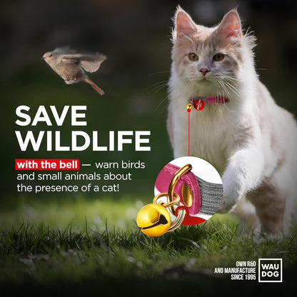 WAUDOG Ultra Soft Rolled Leather Cat Collar with Removable Bell, Safety Elastic Strap and QR ID Tag - Soft Padded for Small, Medium, and Large Cats - Round Kitten Collar for Male and Female Cats