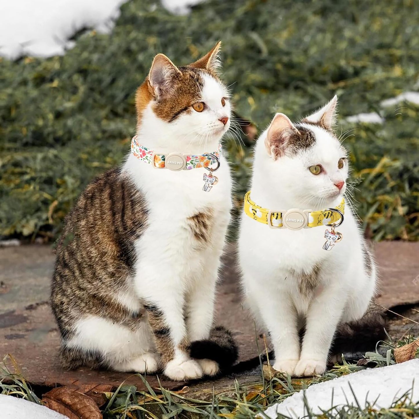 ARING PET 2 Pack Cat Collars-Cute Breakaway Cat Collar with Bell & Pendant, Adjustable Floral&Bees Pattern Kitten Collars with Safety Buckle for Girl and Boy Cats