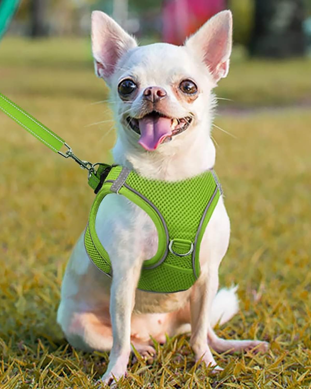 Joytale Small Dog Harness, Breathable Mesh Step-in Vest, Reflective Soft Padded Harnesses for Puppies and Extra Small Dogs, Green, XS