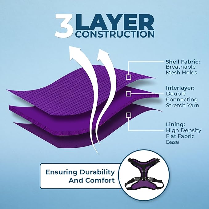 Voyager Step-in Lock Adjustable Cat Harness w. Cat Leash Combo Set with Neoprene Handle 5ft - Supports Small, Medium and Large Breed Cats by Best Pet Supplies - Purple/Black Trim, XXS