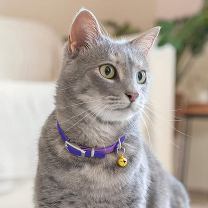 CollarDirect Leather Cat Collar with Bell - Kitten Collar, Small and Big Cat Strap for Boy Cats, Girl Cats with Safety Elastic Strap (Neck Fit 6"-7", Purple)