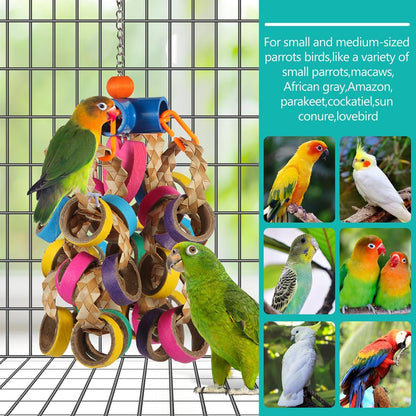 lovyoCoCo Bird Toys Conure Toys,Bird Parrot Foraging Shredder 24 Pcs Colorful Bagel Chewy Rings for Small Parrots Parakeets Conures Cockatiels Love Bird Cage Accessies (B)