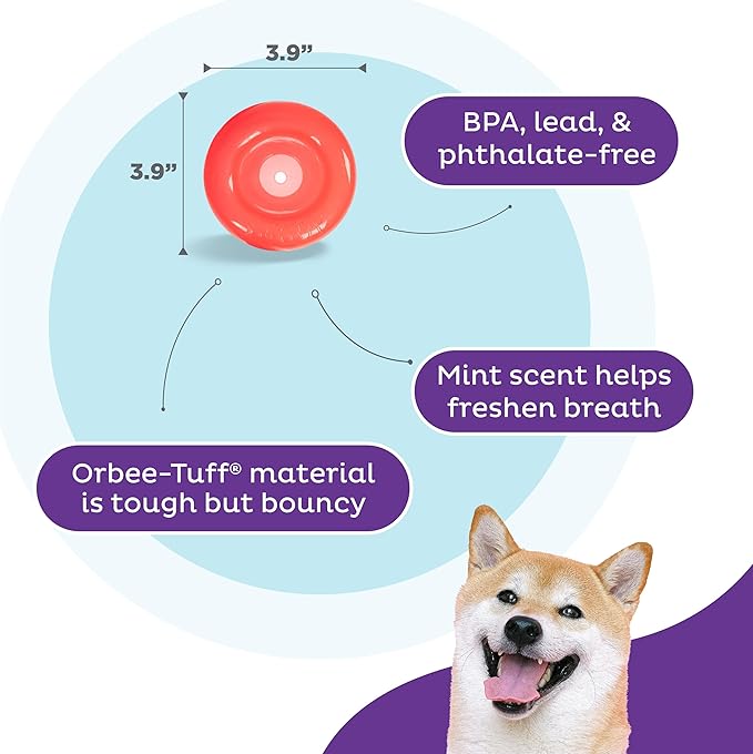 Outward Hound Lil' Snoop Interactive Treat Dispensing Dog Toy, Puzzle Ball Slow Feeder for Small to Medium Dogs, Mint-Scented for Mental Stimulation & Boredom Relief, BPA-Free, 3.9-Inch, Red