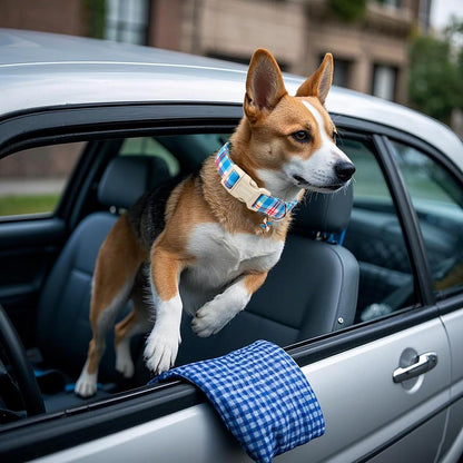 DOGWONG Blue Plaid Dog Collar- Cute Checkered Dog Collars Adjustable Designer Blue Puppy Dog Collar for Small Medium Large Dogs S