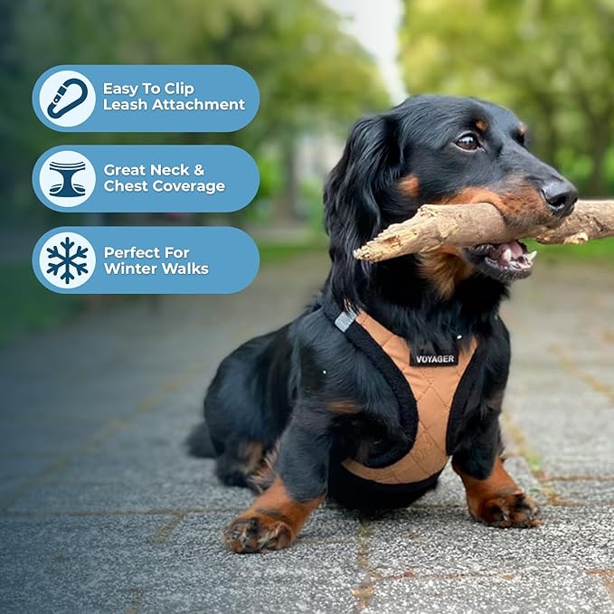 Best Pet Supplies - All Weather Mesh / Plush, Reflective, No Pull Harness for Small, Medium Dogs, Cats - Secure with Hook & Loop Fastener, Buckle, Double D-Rings - Beige Plush, M