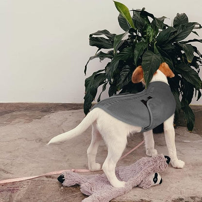 Queenmore Small Dog Sweaters, Soft Fleece Vest Pullover Dog Jacket with Leash Hole, Warm Winter Dogs Clothes Cold Weather Doggy Dachshund Sweater for Small Dogs Cats Boy or Girl (Grey, XS)