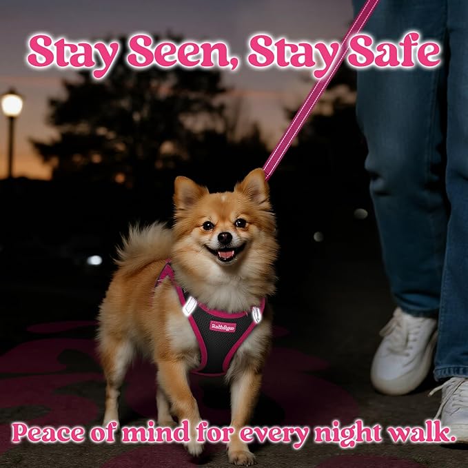 rabbitgoo Dog Harness Small Sized and Leash Set, Step-in Breathable Pet Harness, Soft Walking Reflective Puppy Vest for Small Dogs, Black & Rose Red, L