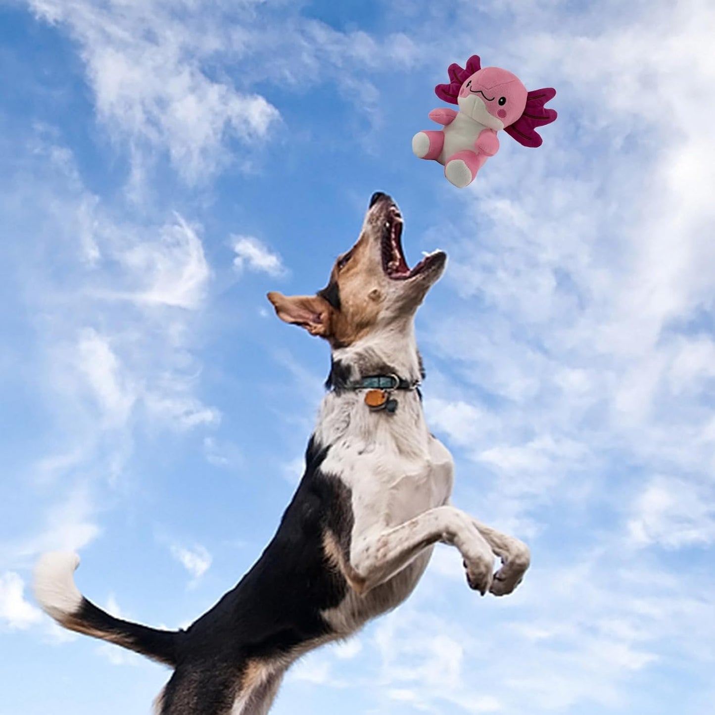 Blnboimrun Squeaky Dog Toys for Aggressive Chewers, Interactive Puppy Toys with Squeaker & Crinkle Paper, Double Layer Durable Plush Axolotl for Small Medium Large Dogs Indoor Outdoor Play