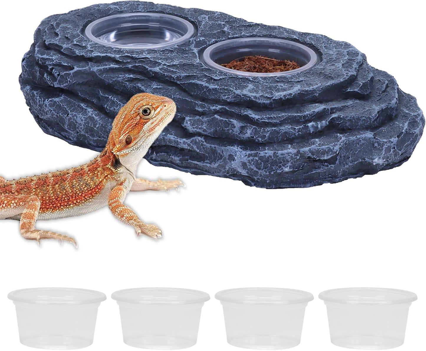 AIICIOO Crested Gecko Feeding Ledge Strong Magnetic Pet Food Bowl and Water Dish with 6 Pack Plastic Reptile Food Cups for Frog Chameleon Tortoise Lizard Pets
