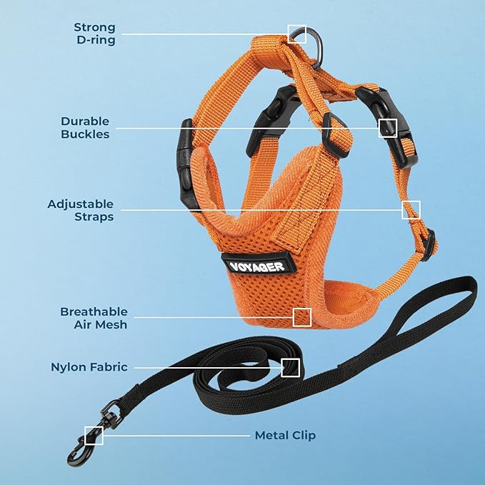Voyager Step-in Lock Adjustable Cat Harness w. Cat Leash Combo Set with Neoprene Handle 5ft - Supports Small, Medium and Large Breed Cats by Best Pet Supplies - Orange, S