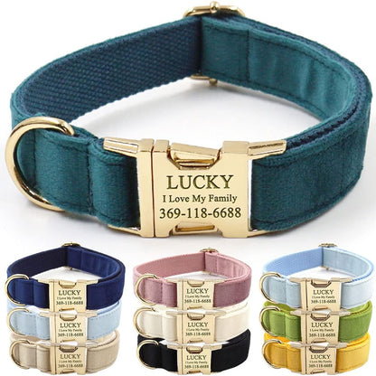 PETDURO Personalized Dog Collar Teal Soft Velvet for Large Medium Small Boy Girl Dog - Custom Collar with Name Phone Number Engraved on Gold Metal Buckle - Add Matching Leash Bow Set via Customize Now