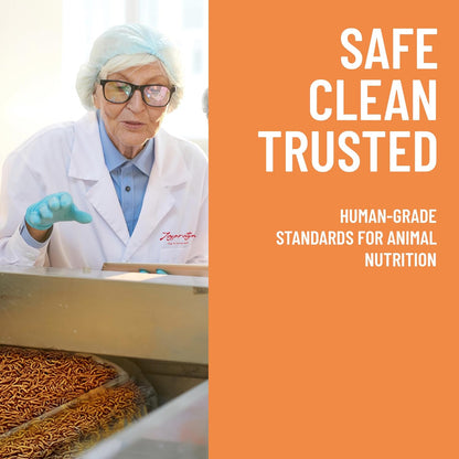 2LB Dried Black Soldier Fly Larvae for Chicken– 85X More Calcium Grubs Than Mealworms for Strong Eggshells & Healthy Growth - High Proteinfor Chickens, Birds, Ducks, Geese & Pets