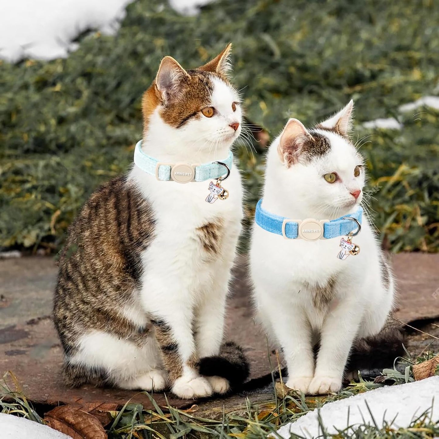 ARING PET 2 Pack Cat Collar-Cute Cotton Cat Collar with Bell & Pendant, Adjustable Blue Green Kitten Collars with Safety Buckle for Girl and Boy Pets