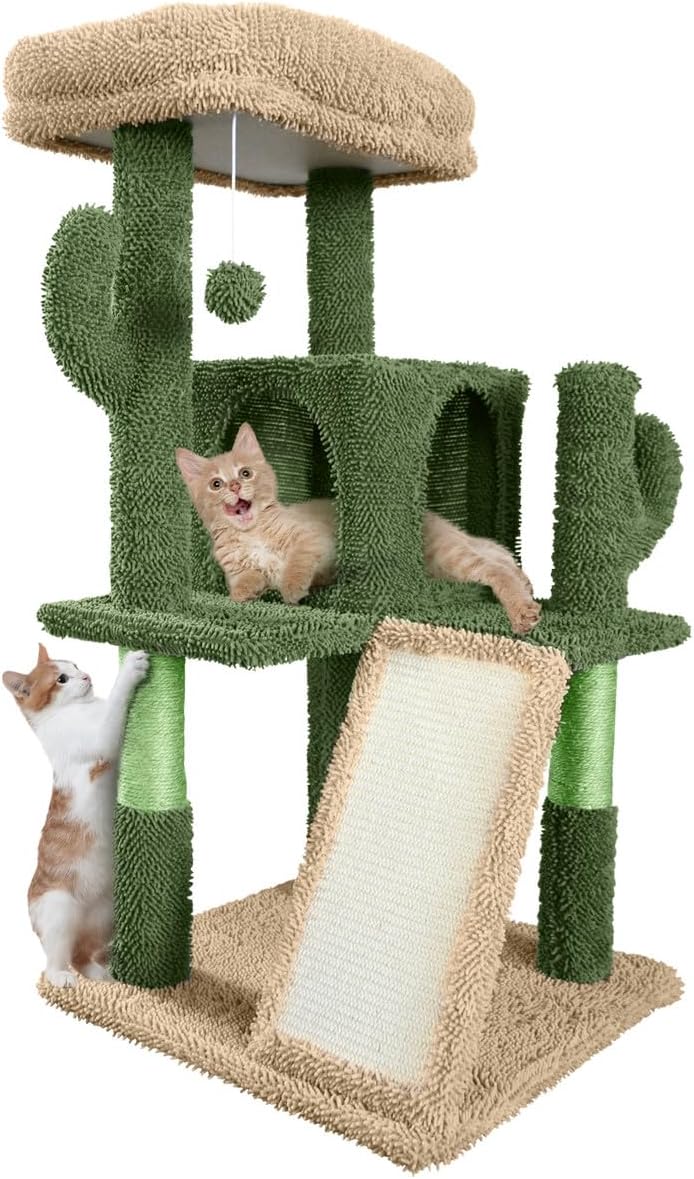 CAPHAUS Cactus Cat Tower for Indoor Cats, Cute 37-Inch Small Cactus Cat Tree w/Widened Perch for Large Cats & Kittens, Multi-Level Cat Activity Tree w/Scratching Posts & Ramp, 2-Door Cat Cave Condo
