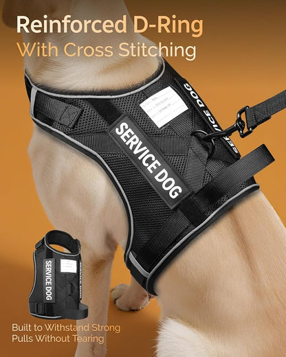 FAYOGOO Service Dog Vest for Large Dogs - Air Mesh Breathble Emotional Support Animal Vest with DIY Removable Patches - Dog Harness and Leash Set Adjustable Neck and Chest(Black,XL)