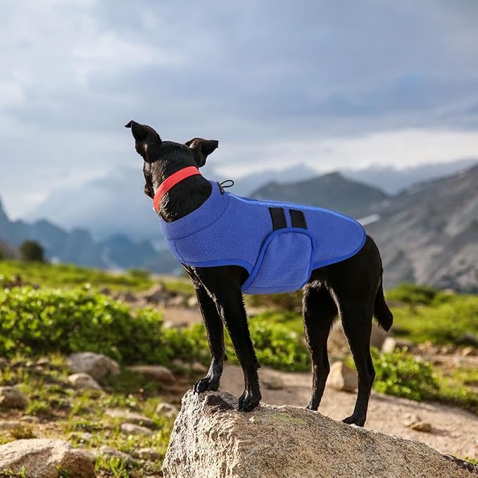 Queenmore Small Dog Sweater, Soft Fleece Vest Pullover Dog Jacket with Leash Hole, Warm Winter Dog Coats Cold Weather Doggy Dachshund Sweaters for Small Dogs Cats Boy or Girl (Blue, XL)