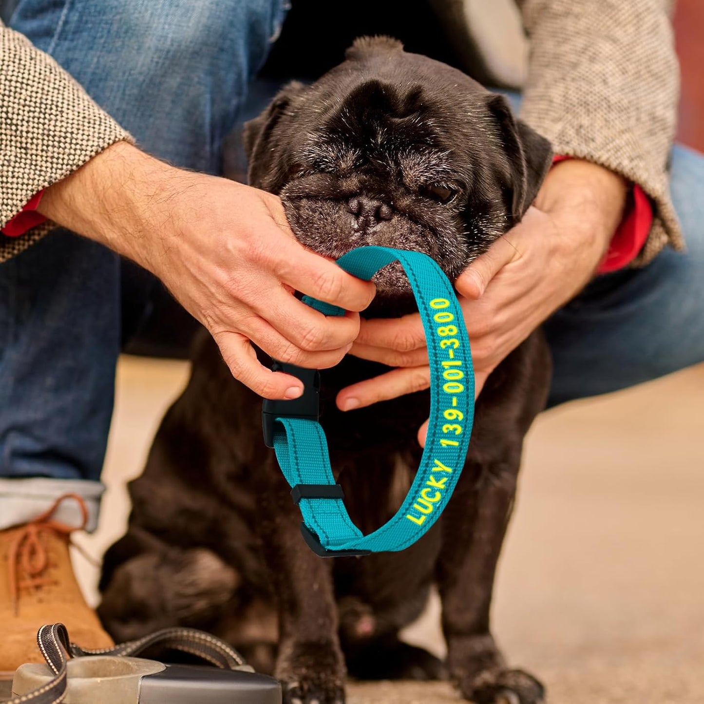 Personalized Embroidered Dog Collar - Custom Hand-Stitched Name & Number, Reflective Adjustable Pet Collar for Small/Medium/Large Dogs & Cats, Durable Nylon with Steel D-Ring (Sky Blue, Large)