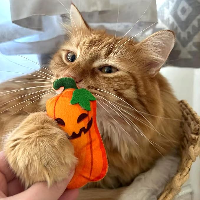 8 Assortments Halloween Value Pack, Natural Interactive Catnip Cat Toys, Toy with Crinkle and Feather, Accessories for Indoor Cat, Kitten Toys