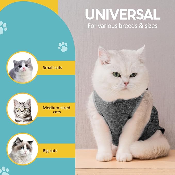 Avont Cat Recovery Suit - Kitten Onesie for Cats After Surgery, Cone of Shame Alternative Surgical Spay Suit for Female Cat, Post-Surgery or Skin Diseases Protection -Darkgrey(M)