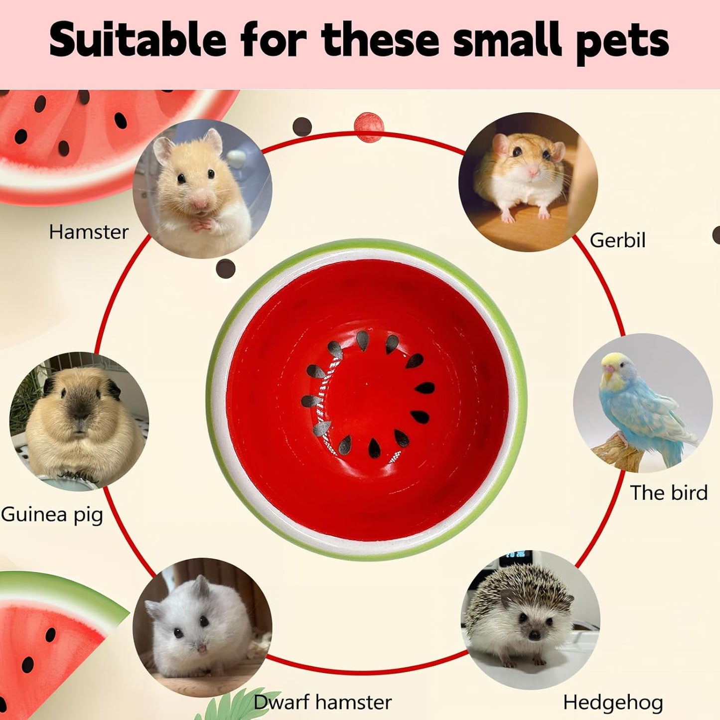 Hamiledyi Hamster Bowl Ceramic Food Water Feeding Dish Guinea Pig Water Rat Bowl for Gerbil Mouse Chinchilla Hedgehog Sugar Glider(2PCS)