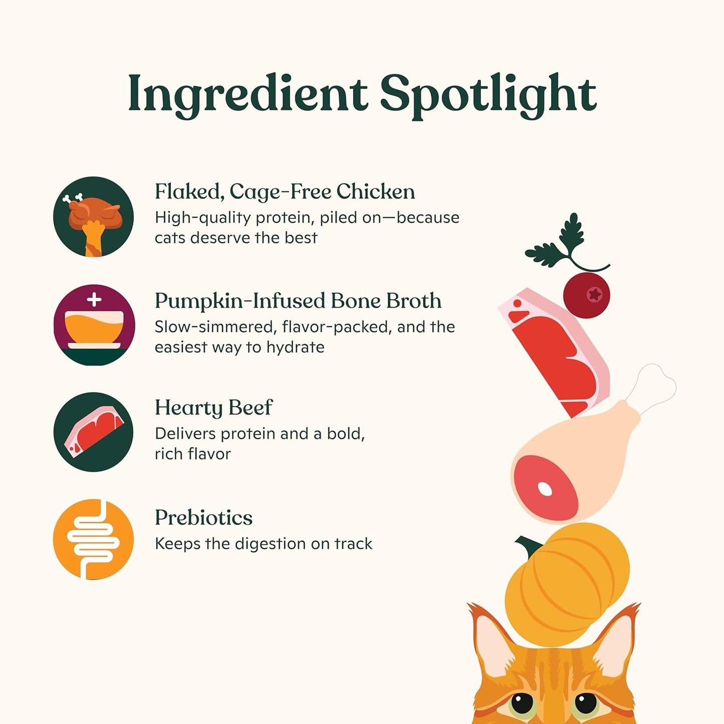 Made by Nacho Flaked Filets Recipe in Bone Broth, Grain-Free Chef's Selects Wet Food for Cats Balanced Diet in Naturally Hydrating Pumpkin-Infused Broth (3.0 oz (Pack of 12), Chicken & Beef)