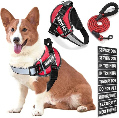 Service Dog Vest, 9 Dog Patches No Pull Dog Harness and Leash Set with Handle,Easy On and Off Pet Vest Harness with Night Safe Reflective Straps for Small Medium Large Breed Dogs