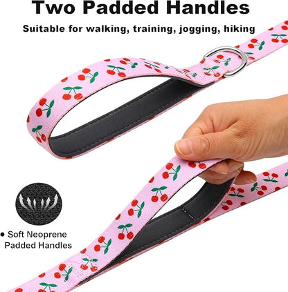 4ft Dog Leash with Two Padded Handles, Heavy Duty Strong Nylon Pet Leash with Soft Neoprene Handle for Small Medium Large Dogs, Cherry