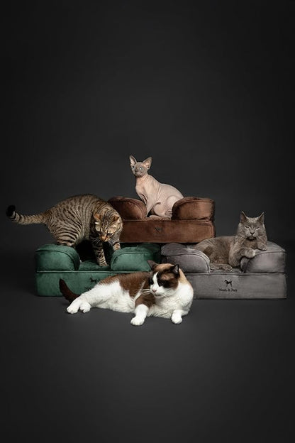 NOAH & PAW Small Dog Bed, 20x15x8 Inch, Cat Bed for Indoor Cats, Orthopedic Eggshell Memory Foam Infused with Cooling Gel, Waterproof Inner Cover Machine Washable (Velvet Collection)