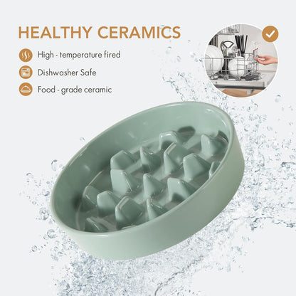 Ceramic 3.2 Cup Dog Bowl Slow Feeder, 9.5 inch Slow Pet Food Dish for Large Dog, Stop Bloat, Preventing Choking(Single Bowl,Light Green)