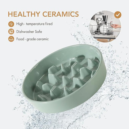 9.5inch Ceramic Dog Raised Slow Feeder Set, Elevated Bowl with Wooden Stand for Large Dog, Slow Feeder Dish for Fast Easters, Stop Bloat(Light Green, Single Bowl+ Stand)