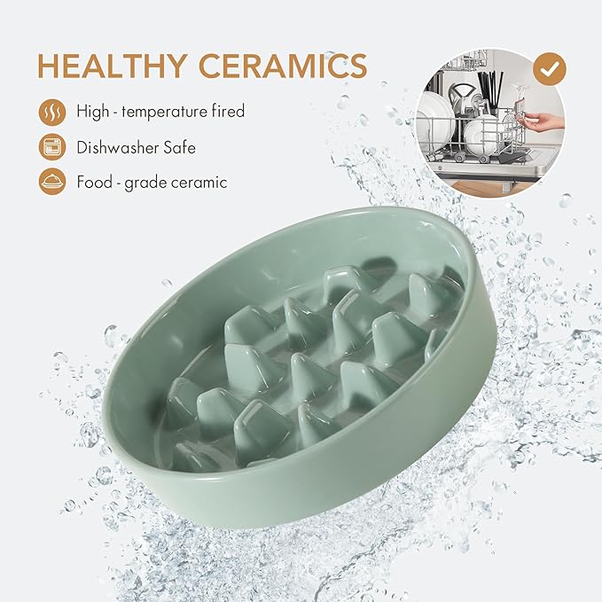 Ceramic Raised Slow Feeder Dog Bowl Set, Elevated 8.2inch Bowl and 9.5inch Slow Pet Food Dish with Wooden Stand for Large Dog (2 x Light Green+ Stand)