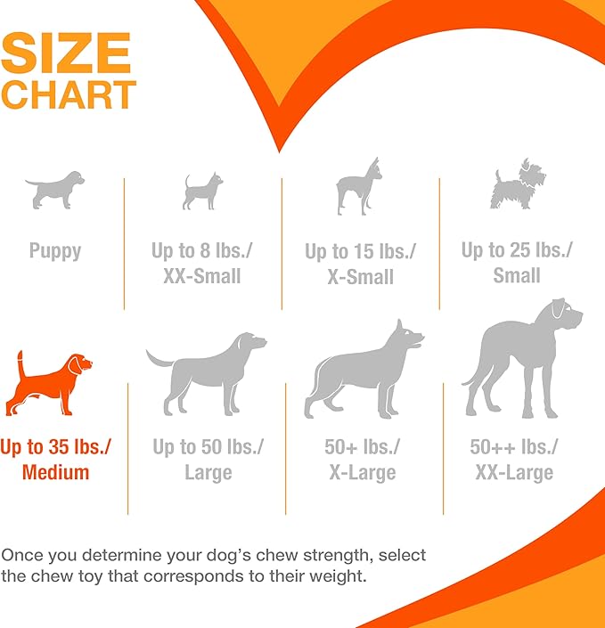 Nylabone Limited Edition 70th Birthday Textured Bone Power Chew Toy for Dogs, Durable & Tough Dog Toys for Aggressive Chewers, Roasted Chicken Flavor, Medium Dogs - Up to 35 lbs (1 Count)