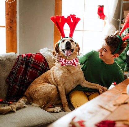 DOGWONG Christmas Dog Collar with Bow tie, Red Santa Claus Dog Collar Soft Durable Adjustable Cotton Puppy Collar for Small Medium Large Dog
