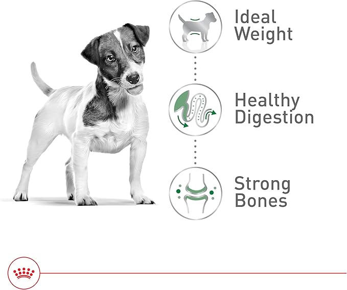 Royal Canin Size Health Nutrition Small Adult Dry Dog Food, 14 lb Bag