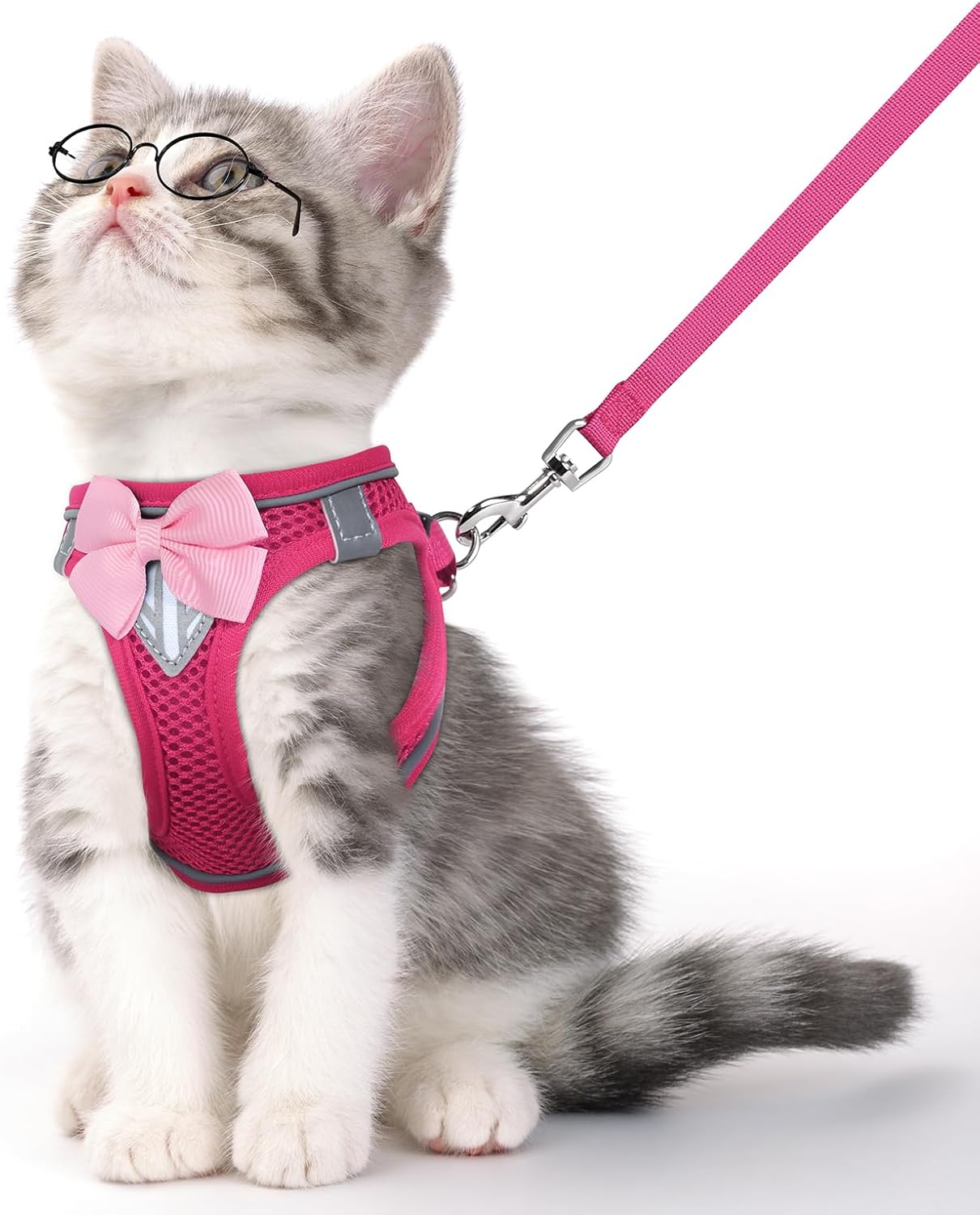 Cat Vest Harness and Leash Set for Walking Escape Proof, Adjustable Kitten Harness Breathable Mesh with Reflective Strips Harness for Kitty Puppy Bunny (Pink,M)