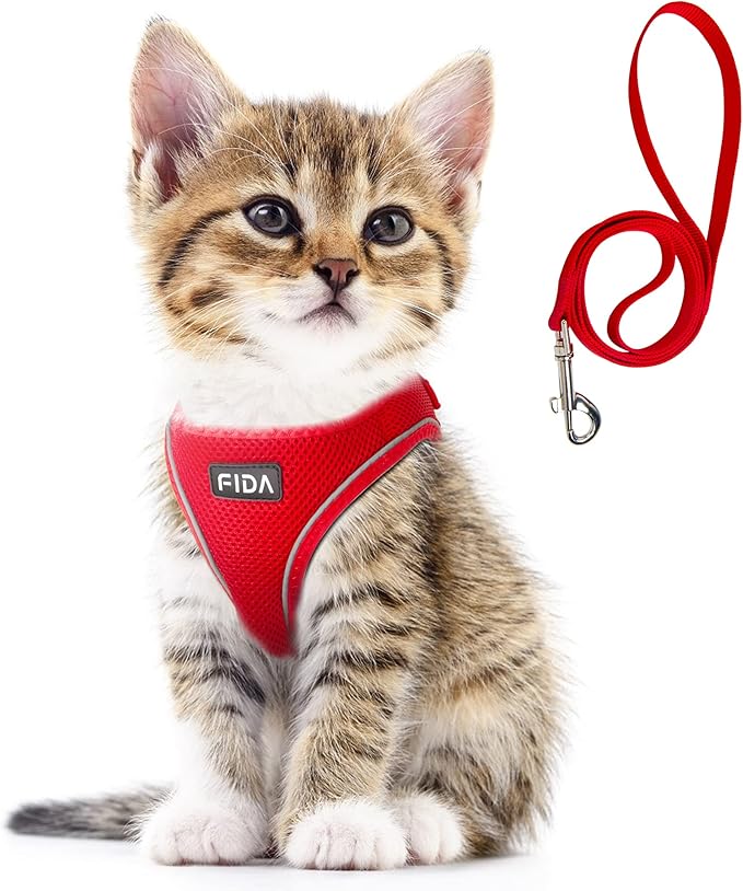 Fida Cat Harness and Leash Set for Walking Kitten and Puppy, Escape Proof Kitten Harness with Breathable Lightweight Soft Mesh, Adjustable Reflective Step-in Design for Kitten and Puppy.(XXXS, Red)