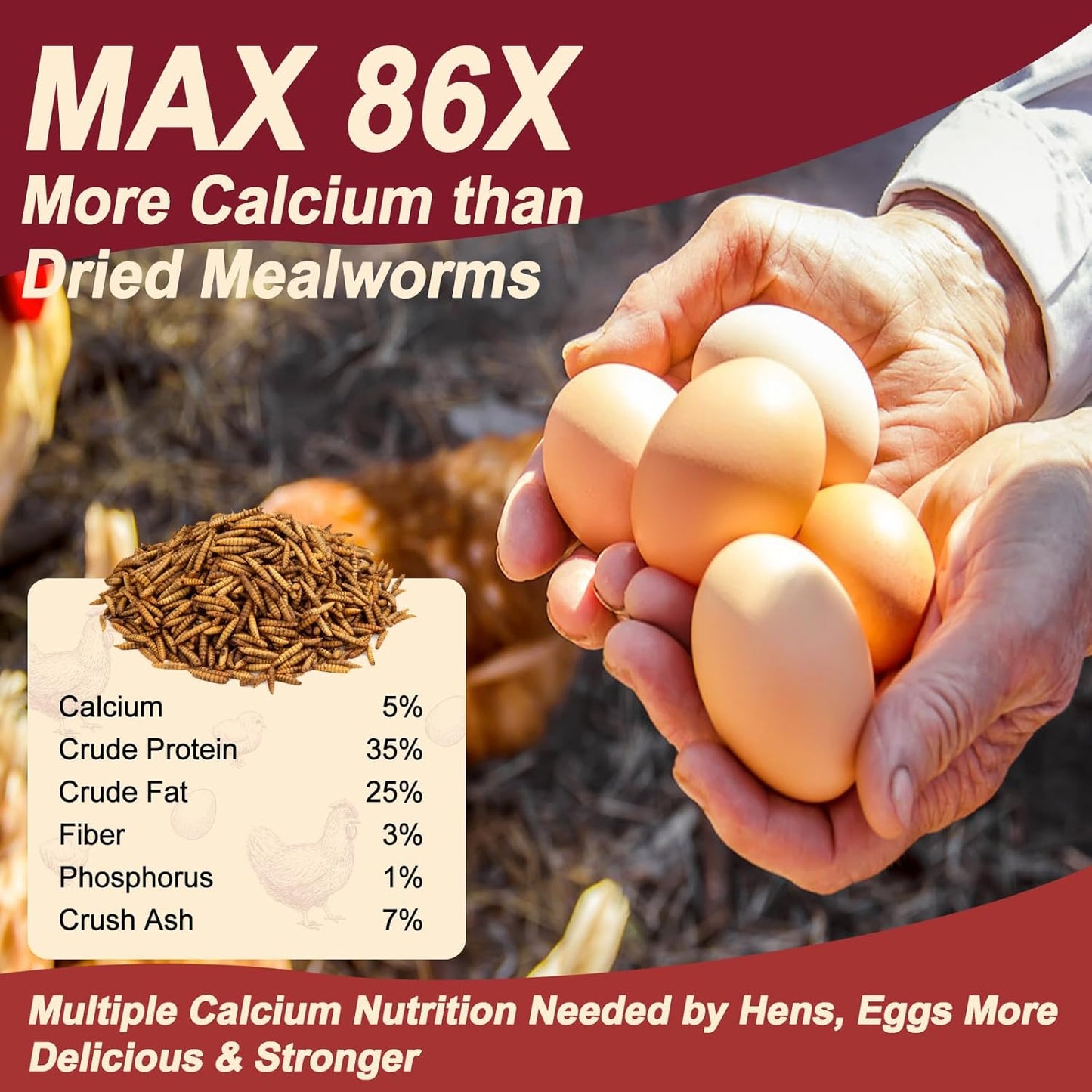 Black Soldier Fly Larvae for Chickens, Non GMO High Calcium BSF Larvae Fly Grubs Than Dried Mealworms for Turkeys, High Protein Chicken Treats for Laying Hens, Natural Wild Bird Food 10LB (2.5LB * 4)