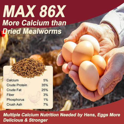 Black Soldier Fly Larvae for Chickens, Non GMO High Calcium BSF Larvae Fly Grubs Than Dried Mealworms for Turkeys, High Protein Chicken Treats for Laying Hens, Natural Wild Bird Food 10LB (2.5LB * 4)