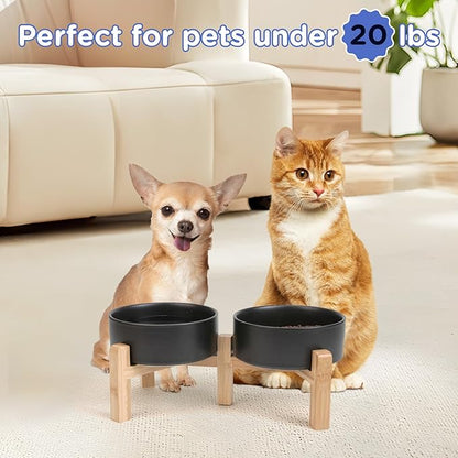 SPUNKYJUNKY Elevated Dog Bowls Ceramic, 5.1'' Dogs and Cat Food Water Bowls Raised with Non-Slip Bamboo Stand for Puppy Small Sized Breed Microwave Dishwasher Safe - 13.5 OZ,Black